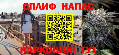 a pvp Будённовск