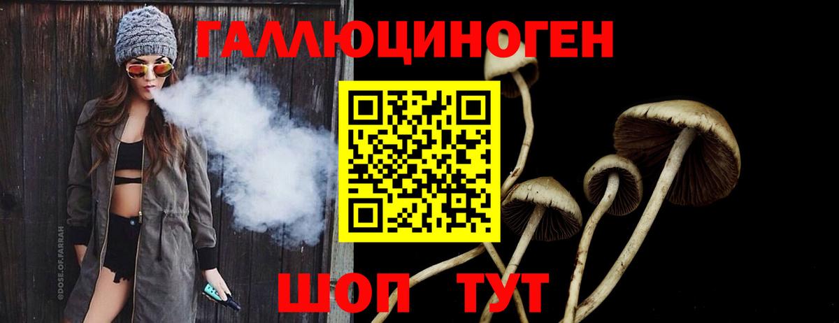 Сафоново  Псилоцибиновые грибы Cubensis  Вход с VPN 